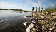 People look at the dead fish on the banks of the Oder river, as water has been contaminated and is causing the mass extinction of fish in the river, in Bielinek, Poland, August, 11, 2022. Cezary Aszkiełowicz/Agencja Wyborcza.pl via REUTERS

