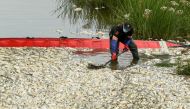 Dead fish are removed from the Oder river at a mobile catch basin, by the German border, in Krajnik Dolny, Poland, August 13, 2022. (REUTERS/Annegret Hilse)