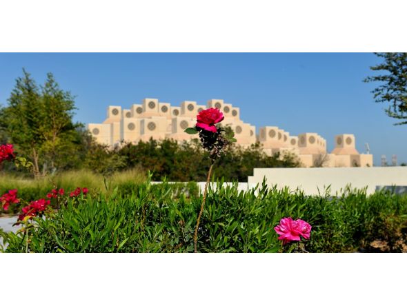 Representational file photo of Qatar University.