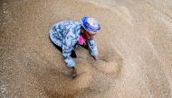 A worker collects wheat at the Benha grain silos in Al Qalyubia Governorate, Egypt, on May 19, 2022. File Photo / Reuters