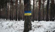 Tapes in colours of the Ukraine's national flag are wrapped around a tree near Yampil on February 6, 2023, amid the Russian invasion of Ukraine. (Photo by YASUYOSHI CHIBA / AFP)