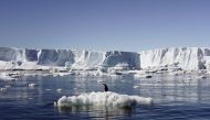 An Adelie penguin stands atop a block of melting ice near the French station at Dumont dÃ­Urville in East Antarctica in this January 23, 2010 file photo. (REUTERS/Pauline Askin)