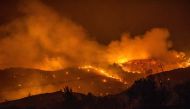 (Files) Trees burn in a forest on the slopes of the Troodos mountain chain, as a giant fire rages on the Mediterranean island of Cyprus, during the night of July 3, 2021. (Photo by Georgios Lefkou Papapetrou / AFP)