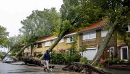 A man walk his dog by uprooted trees following a storm in Haarlem, on July 5, 2023. (Photo by Remko de Waal / ANP / AFP)