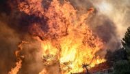 A photo shows flames burning vegetation during a wildfire near Prodromos, 100km northeast from Athens, on August 21, 2023. Photo by Spyros BAKALIS / AFP

