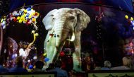 Spectators of the Roncalli Circus Show look at an hologram projection of an elephant during the show in Luebeck, northern Germany on August 16, 2023. (Photo by Axel Heimken / AFP)