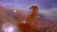 This undated handout obtained on November 2, 2023 from the European Space Agency ESA shows an alternative crop of astronomical image of a Horsehead Nebula taken during ESA's Euclid space mission. (Photo by Handout / ESA/Euclid/Euclid Consortium/NASA / AFP) 