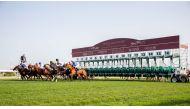 The prestigious H H The Amir Sword Festival will  be held from February 15 to 17.