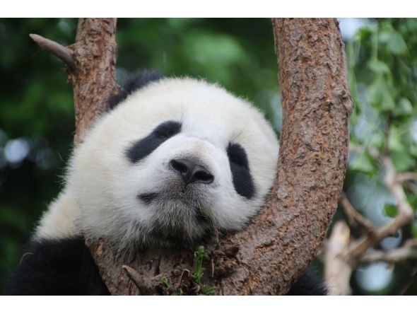 Representational file photo