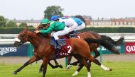 Alshanfara, the winner of Qatar Coupe de France des Chevaux Arabes 2023. 