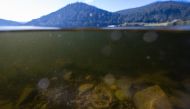 An iron cylinder lays on the bottom of Lake of Gerardmer in Gerardmer on September 20, 2024. Photo by Olivier MORIN / AFP.