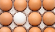 Image used for representation only.