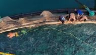 This aerial picture taken in Trabzon on June 11, 2025, shows a worker in the water during the harvesting Turkish salmons from their farming cages off the Vakifkebir shores in the Black Sea. (Photo by Ozan Kose / AFP)