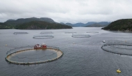 This Aerial view shows a salmon farm in Trondheimsfjord on June 19, 2025 in Trondheim, Norway. Photo by Jonathan KLEIN / AFP
