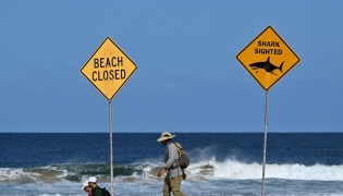 Residents walks along the shoreline as northern Sydney beaches are closed following a shark attack at Long Reef Beach on September 6, 2025. (Photo by Saeed Khand / AFP)