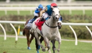 Haunted Dream was ridden to success by Rafael Manuel Hernandez. PIC: Mickael Burns
