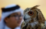 Visitors look at falcons at the Katara International Hunting and Falcons Exhibition 2025 (S'hail) at Katara Cultural Village in Doha on September 11, 2025. (Photo by Karim JAAFAR / AFP)
