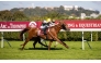 Last year, the Poulains crown went to Mutaz (Munjiz), owned by Yas Horse Racing Management.
