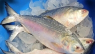 Hilsa - Bangladesh's national fish and a much-loved delicacy / Image: social media