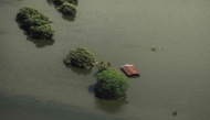 This aerial view taken during a Mexican Navy flyover shows a flooded house after heavy rains in Poza Rica, Veracruz state, Mexico on October 11, 2025. (Photo by Hector Quintanar / AFP)
 