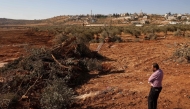 File: A Palestinian man looks at olive trees reportedly uprooted by Israeli soldiers using a bulldozer in the occupied West Bank village of Al-Mughayyir, north of Ramallah, on August 24, 2025. (Photo by Zain Jaafar / AFP)