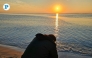 A man captures the rising sun over Sealine in Mesaieed, as morning temperatures cool across Qatar. Photo by Marivie Alabanza / The Peninsula