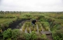 Dr Nadine Mitschunas, an ecologist at the UK Center for Ecology and Hydrology, inspects a crop of various rice species on October 14, 2025. (Photo by Oli Scarff / AFP)
