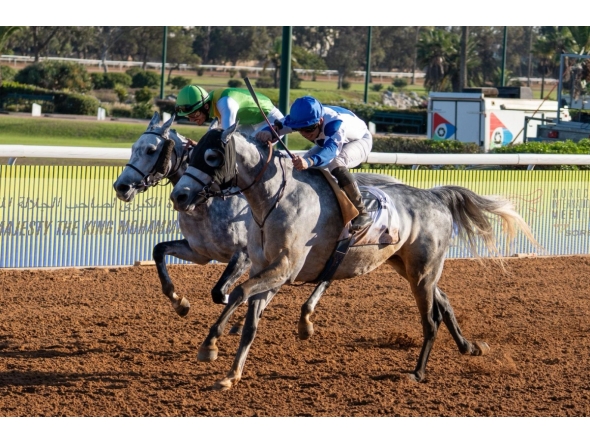 Guillaume Guedj-Gay guides Moshrif to triumph. 