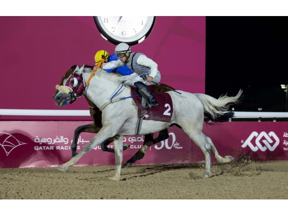 Soufiane Saadi guides Sun Amer to victory in the Muaither Cup. 