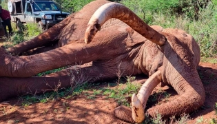 Picture from NTV Kenya official social media channels.