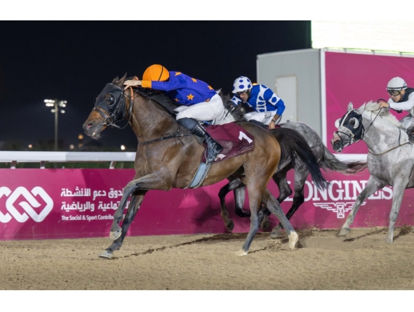Action from the Al Kharrara Cup feature race won by Posuelo Py at Al Rayyan Racecourse yesterday. PICS: Juhaim/QREC   
