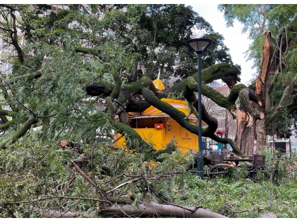  A picture taken on January 28, 2026 shows tree branches fallen on a kiosk in Lisbon after storm Kristin hit Portugal. (Photo by Thomas CABRAL / AFP)