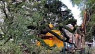  A picture taken on January 28, 2026 shows tree branches fallen on a kiosk in Lisbon after storm Kristin hit Portugal. (Photo by Thomas CABRAL / AFP)