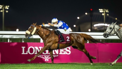 Lukas Delozier rides Nasser Al Shahania to Eraida Cup win. PIC: Juhaim/QREC 