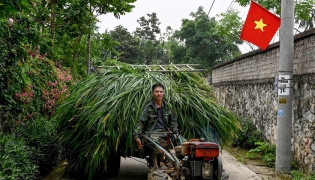 A man drives his farm vehicle loaded with grass in Hanoi on April 3, 2026. (Photo by Nhac NGUYEN / AFP)