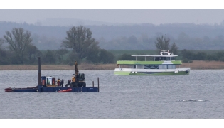 The MS Adler nature tourist boat (R, background) navigates past a stranded humpback whale (R) off the Baltic Sea coast at the island of Poel, near the small village of Weitendorf-Hof, northern Germany, on April 19, 2026, as a rescue team on a boat with equipment is seen close to the animal. Photo by Danny GOHLKE / AFP