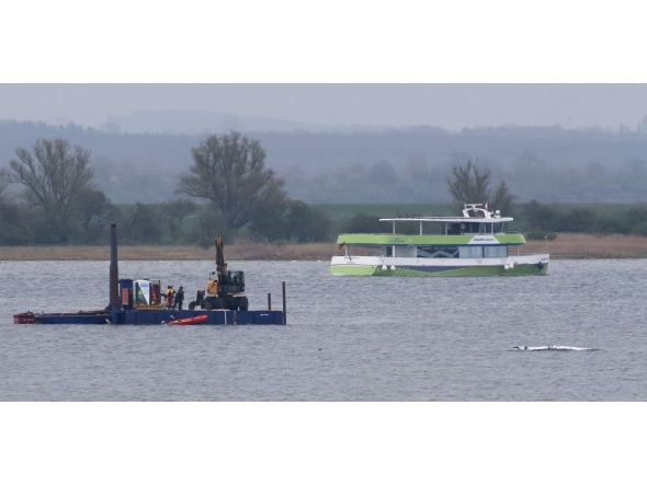The MS Adler nature tourist boat (R, background) navigates past a stranded humpback whale (R) off the Baltic Sea coast at the island of Poel, near the small village of Weitendorf-Hof, northern Germany, on April 19, 2026, as a rescue team on a boat with equipment is seen close to the animal. Photo by Danny GOHLKE / AFP
