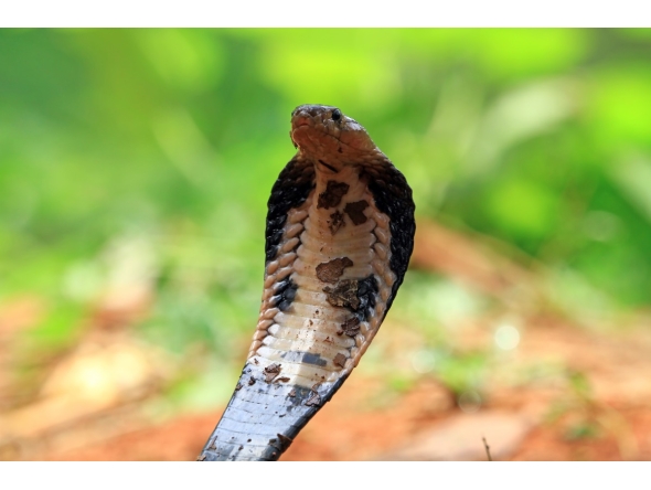 Photo strictly for representational purposes. Source: freepik