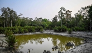 This photograph taken on March 30, 2026 shows a freshwater pond within a swamp forest in the Sundarbans at Dacope in Bangladesh's Khulna district, created as part of efforts to support wildlife and help increase the population of Royal Bengal tigers. (Photo by Munir UZ ZAMAN / AFP)