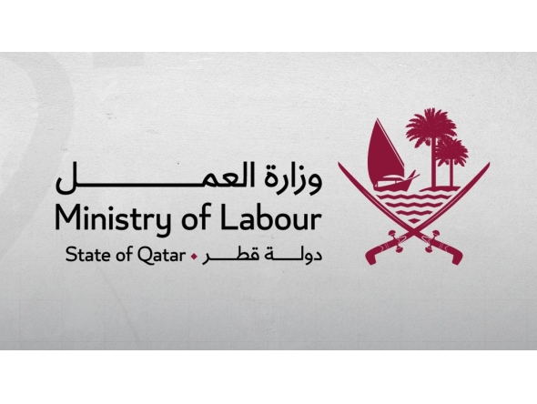 QNA / X