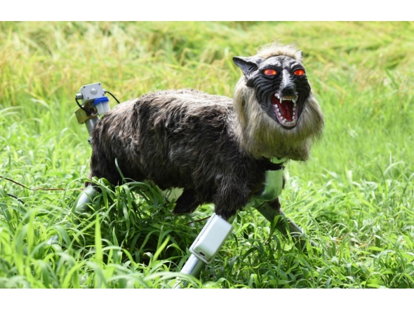 A wolf-like robot 