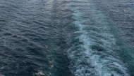 Representational Photo File