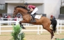A file photo of action during an earlier edition of Al Shaqab League. 