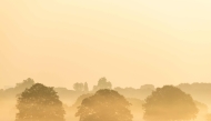 Trees are seen in the mist at sunrise in Richmond Park in west London on May 24, 2026, as temperatures increase to heatwave levels. (Photo by Brook Mitchell / AFP)