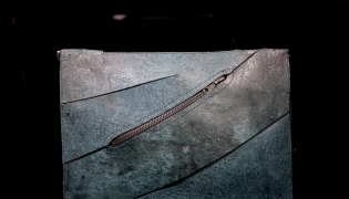 This photograph shows the first 
