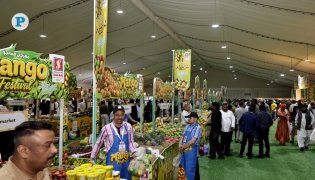 Stalls in Souq Waqif displaying fresh mangoes and other related products from India.