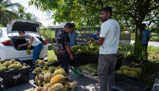 This picture, taken on June 23, 2026, shows a vendor selling durians by the roadside in Karak, in Malaysia's Pahang state. (Photo by Mohd Rasfan / AFP)