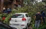 Civic-authority workers clear the road, blocked by uprooted trees following strong winds and heavy rainfall in Mumbai on July 5, 2026. (Photo by Punit Paranjpe / AFP