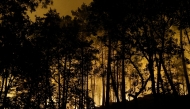 Flames rise in the Fontainebleau Forest after a forestfire broke out late afternoon on July 12, 2026. (Photo by GEOFFROY VAN DER HASSELT / AFP)