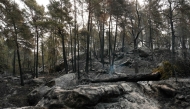This photograph shows burnt undergrowth following a fire in the Fontainebleau Forest, in Noisy-sur-Ecole, in the Paris' Ile-de-France region on July 14, 2026. (Photo by Dimitar Dilkoff / AFP)